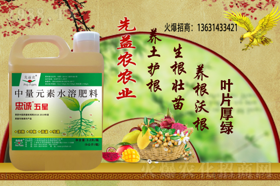 С���r������Xһ��������С���r��������