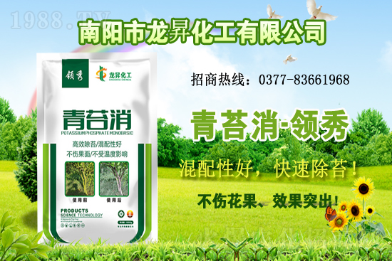 大豆供不應(yīng)求,價格持續(xù)上漲!各地大豆價格行情