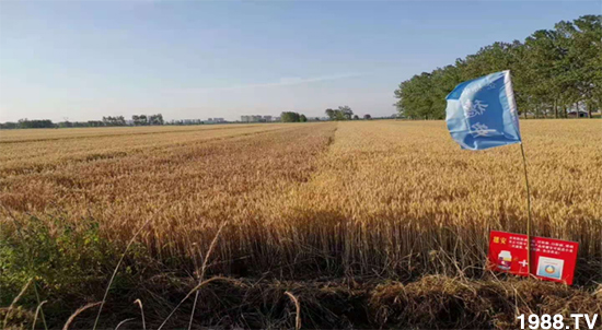 С����ù��Σ�����c������С����ù����ʲôˎ��