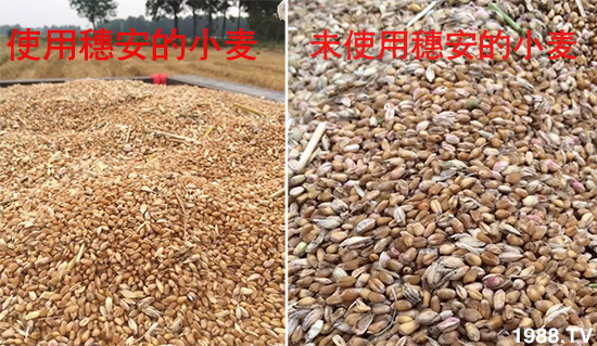 С����ù��Σ�����c������С����ù����ʲôˎ��