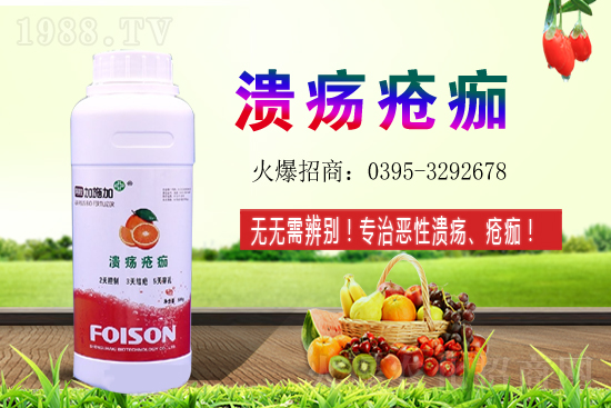 2021��ʯ��Nֲ���������ʯ�������ǰ����ô����