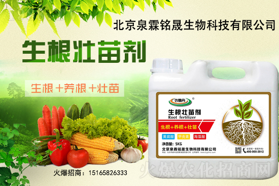 一豆難求!2020-11-25東北大豆上漲迅猛