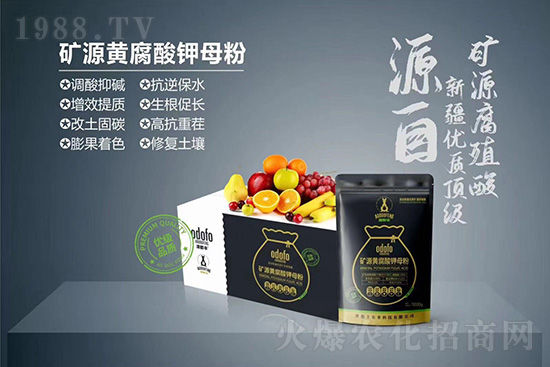 什么是蔬菜冷害？如何提高作物抗凍能力？