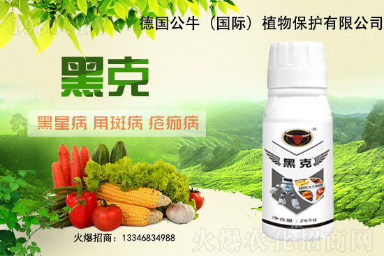 �|��������3Ԫ/�����11��28�մ󶹃r(ji��)������