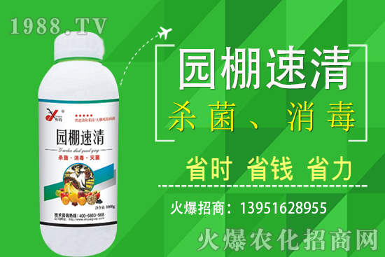 2020年11月5日局部花生價格報道!