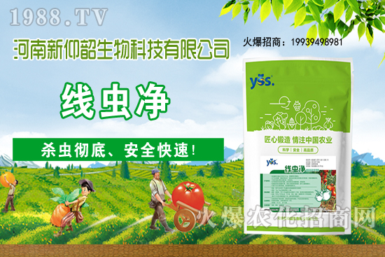 ����ֲ��ԓ��ô��ˮ������ֲ�ˮҪע����Щ���}����