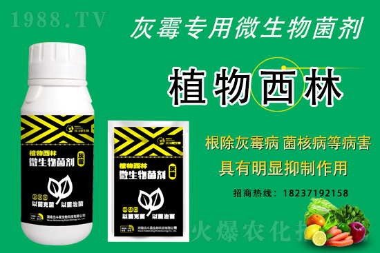 ��ù�������ε�ԭ������ô������Ч������