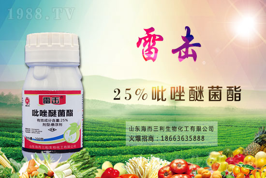 ħ��r(ji��)������X(qi��n)һ�2021��ħ��Nֲǰ����Σ�