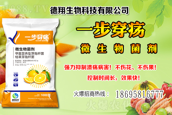 ��(gu��)�a(ch��n)�󶹃r(ji��)��(w��n)���е���2020-12-21�����������ֵ؅^(q��)�����飡