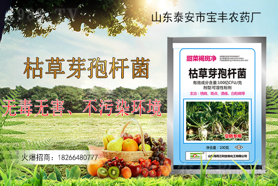 �ݲ�ѿ�ߗU���ܽ�Q������Щ��(w��n)�}���ݲ�ѿ�ߗU�����r(n��ng)�����ϵđ�(y��ng)����