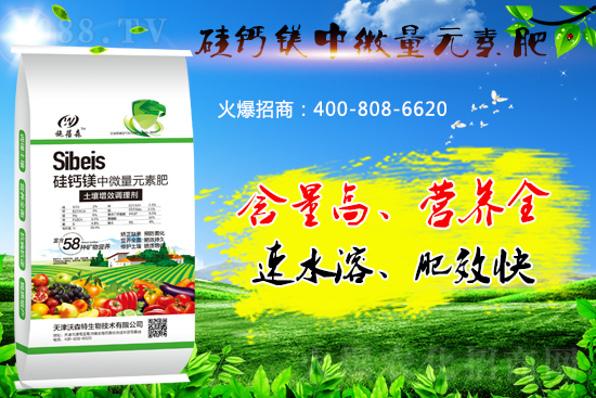 ���}�VԪ�ط����˽��������̎����Щ��