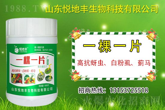 �߿����x���׷�ʭ���E�R��ʲô����һ�x������