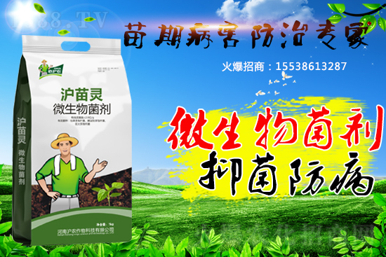 �������ڲ����������������������A�����������ˆ���