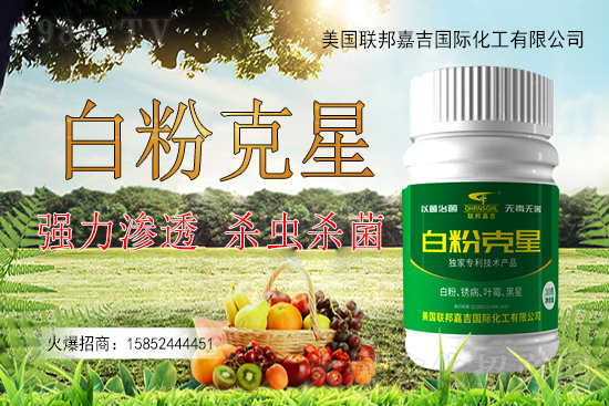 �����׷۲�����y�Է��أ������׷۲������ˎ����Ч������