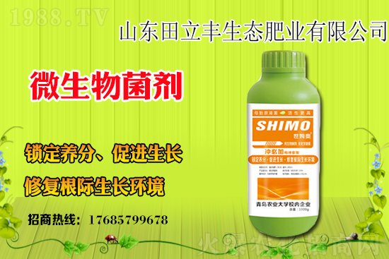 ���{��ԓ��ηNֲ�����{���Nֲǰ����Ч����ô����