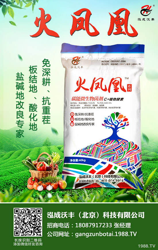 ��Ҋ�������ɺ��x����Щ���������ɺ��x���������