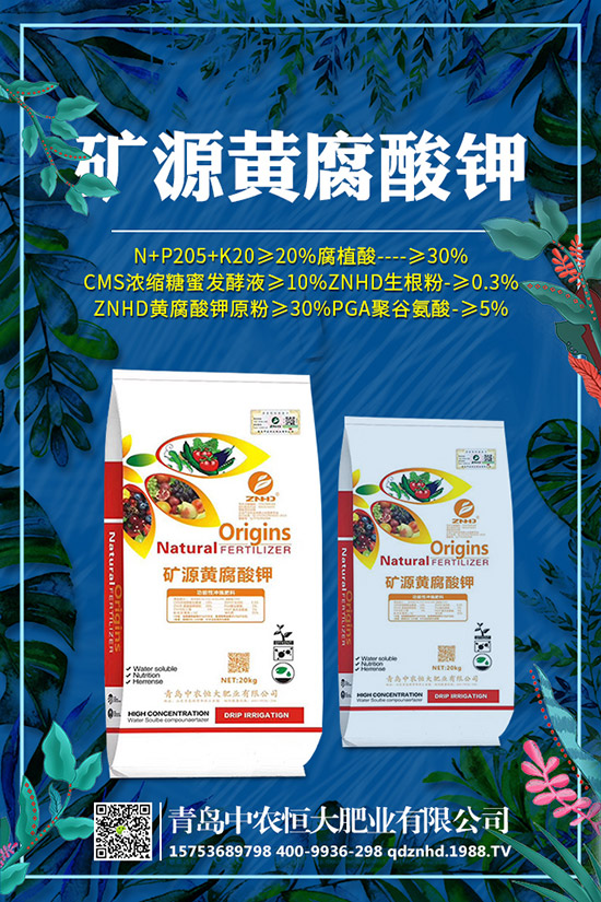 �紺���˷Nֲ���g(sh��)����Щ�����g����Ҫע��ʲô��