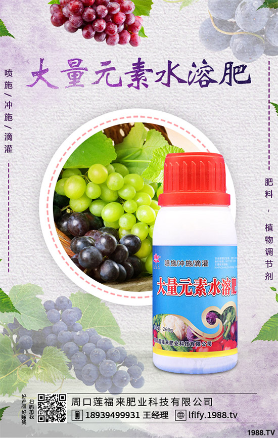 蠶豆該怎么種?蠶豆的種植技術及病害防治要點