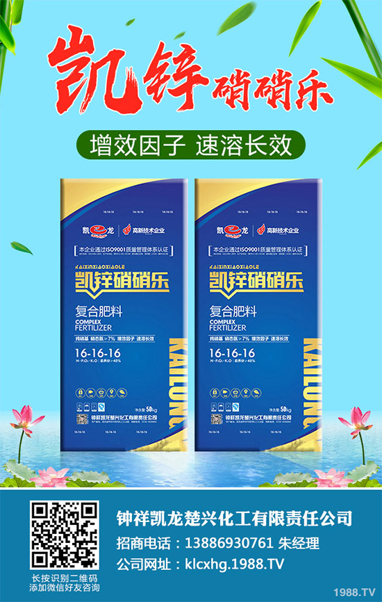 蠶豆該怎么種?蠶豆的種植技術及病害防治要點