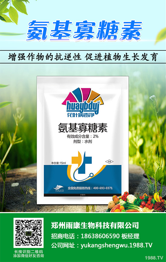 蠶豆該怎么種?蠶豆的種植技術及病害防治要點