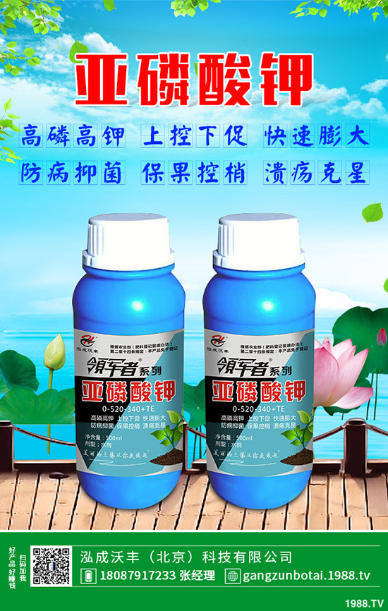 �ЙC�߲��c�o�����߲˵ą^(q��)�e���o�����߲���η��x��