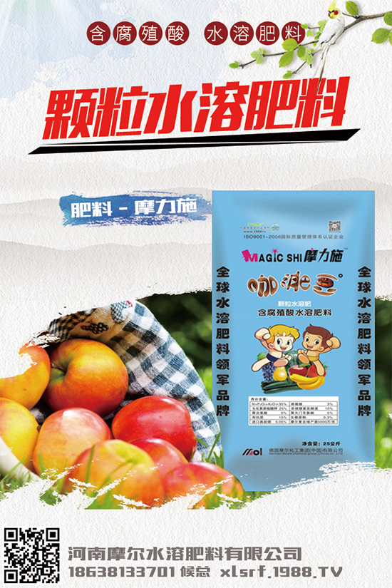 �Nֲ���g���X����2020���g�Nֲǰ����Ч�����