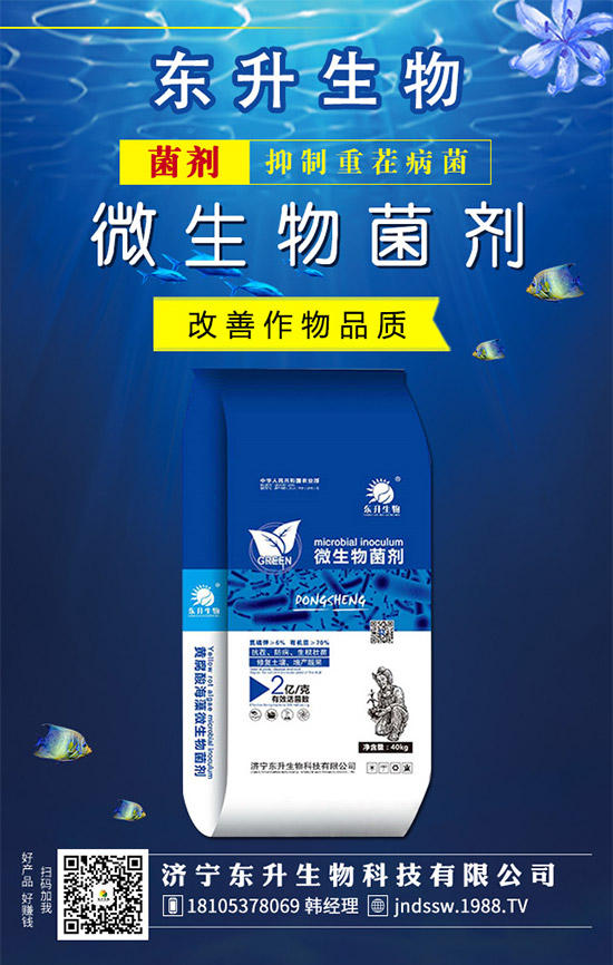 �²�Ʒ�N����Щ���²˵��B(y��ng)ֳע����헣�