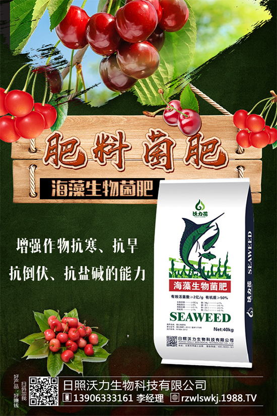 馬蹄市場(chǎng)前景怎么樣?馬蹄種植方法要點(diǎn)有哪些呢?