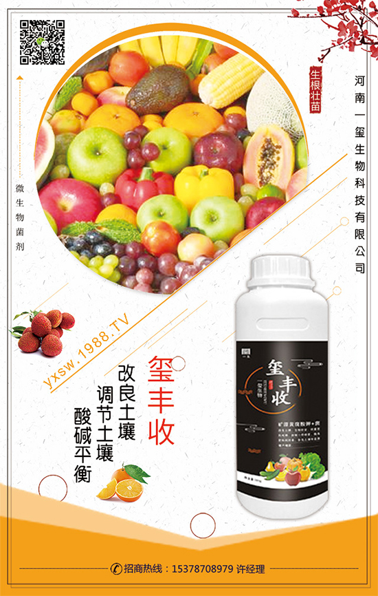 葫蘆的生長習(xí)性,葫蘆種植技術(shù)要點!