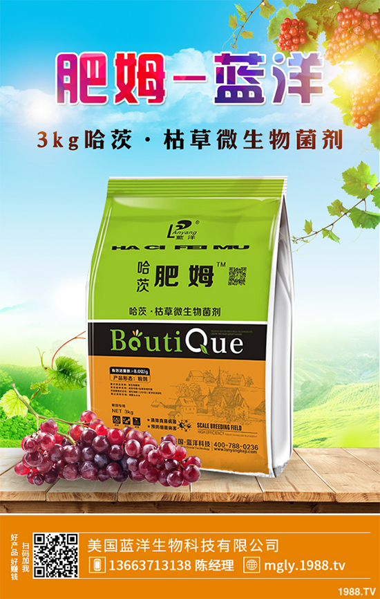 花椒樹該如何種植?三步幫你輕松種出高產(chǎn)花椒!