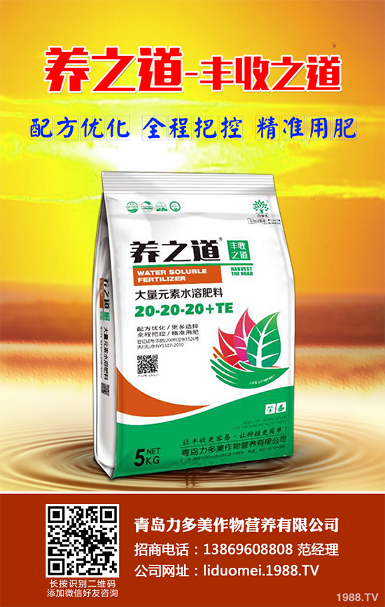 ���{(l��n)��ԓ��ηNֲ�����{(l��n)���߮a(ch��n)�Nֲ���g(sh��)Ҫ�c(di��n)