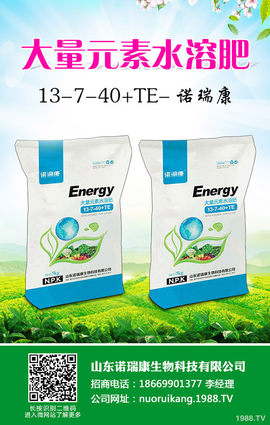 二銨市場銷售穩(wěn)定!2020年3月25日今日最新二銨價(jià)格早報(bào)!