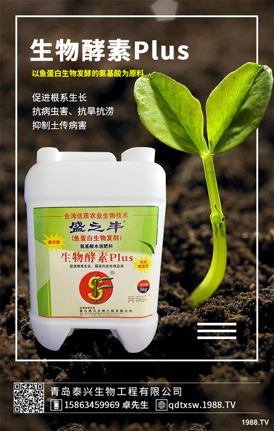 菜菔子有哪些神奇功效?萊菔子的功效作用及食用禁忌