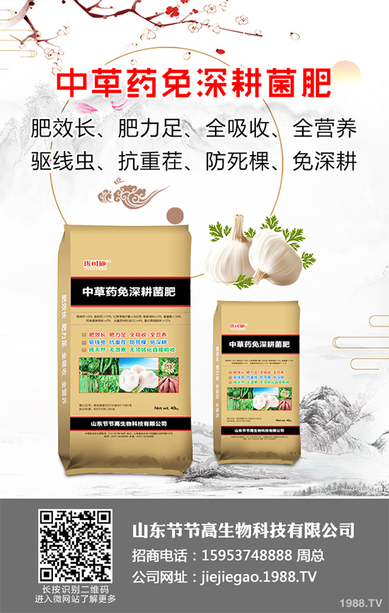 �{(l��n)ݮʩ��