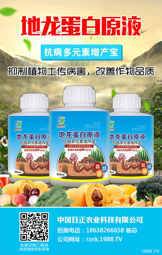 ������ΰ����r(n��ng)������2020�����°���ָ��