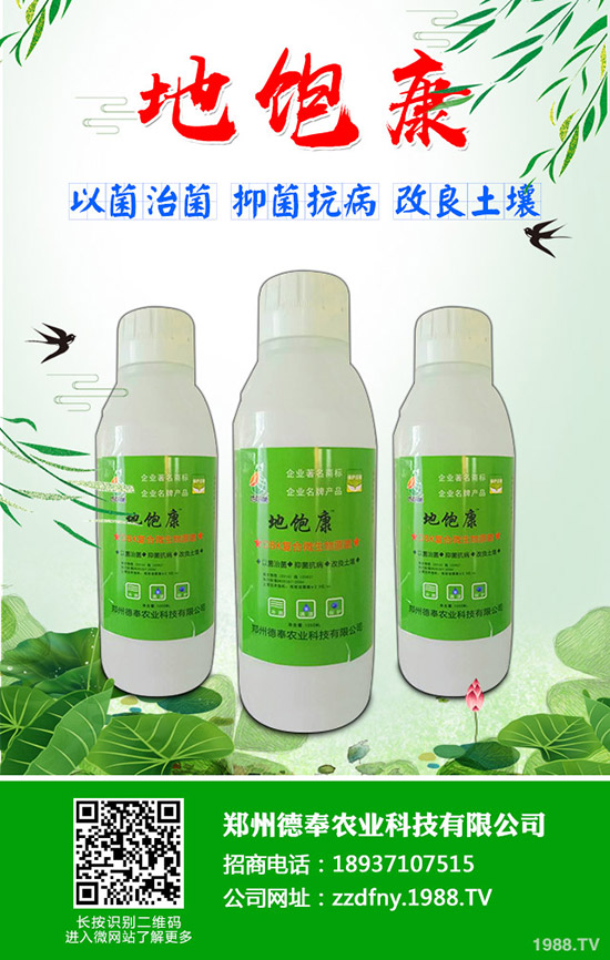 �ϹϺ��ǲ�����Щ�Y�����ϹϺ��ǲ����η���