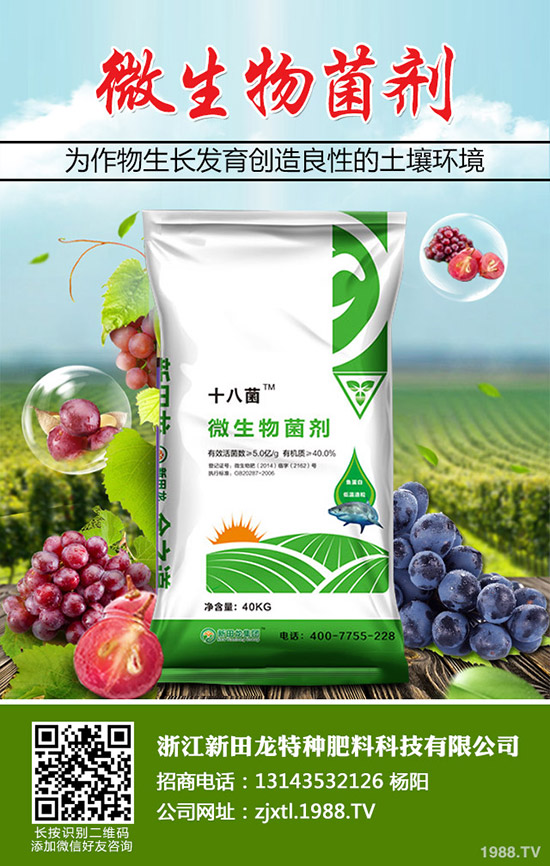 �Ϲ����Ҏ(gu��)�����Ϲϵ�ʩ�ʷ���