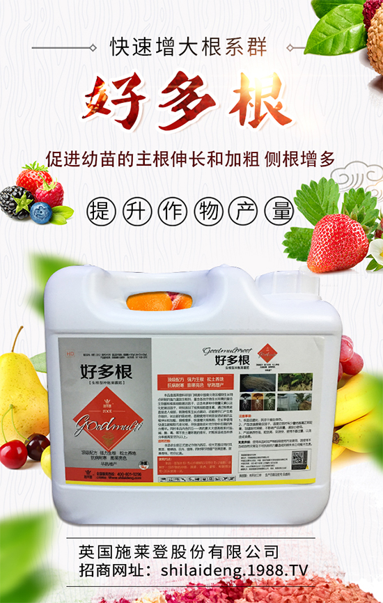 春季菠菜在什么時(shí)候種植好?菠菜種植技術(shù)要點(diǎn)有哪些?