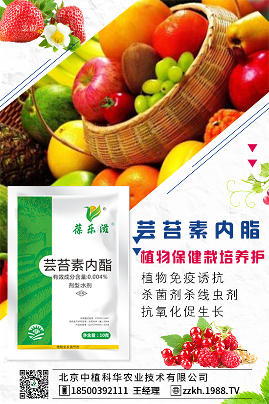 ���Ҫ��ô�Nֲ�����ˮ�ʹ���Ҫ�c��