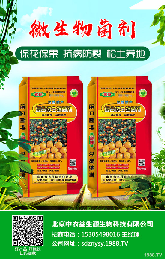     如今磷肥供應(yīng)過(guò)剩！今日最新磷肥價(jià)格行情走勢(shì)預(yù)測(cè)2020-4-11