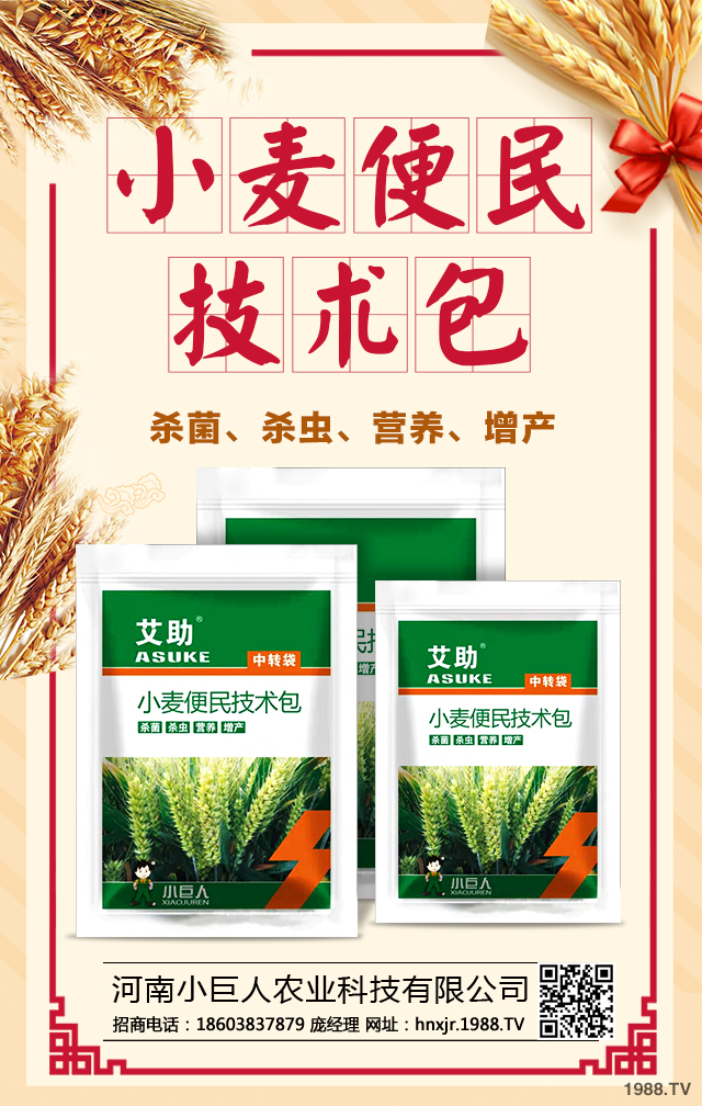 ����С�����r�I(y��)�Ƽ����޹�˾