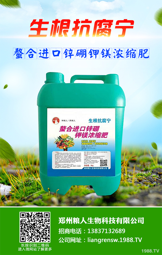 ���~��ԓ��ηNֲ����ˎ�����~��߮a(ch��n)�Nֲ���g(sh��)Ҫ�c(di��n)