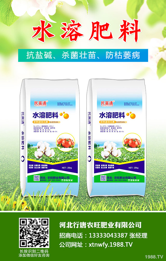 香菜如何種植香味濃產(chǎn)量高?韓國(guó)大棵香菜栽培技術(shù)!