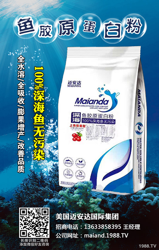     ���؃r��ֲ��ϝq���������������߄ݷ���2020-4-14��