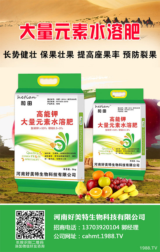 ��(x��)���[��ηNֲ���ܸ߮a(ch��n)����Ҫע��ʲô���@�傀(g��)С���ɷ���һ����