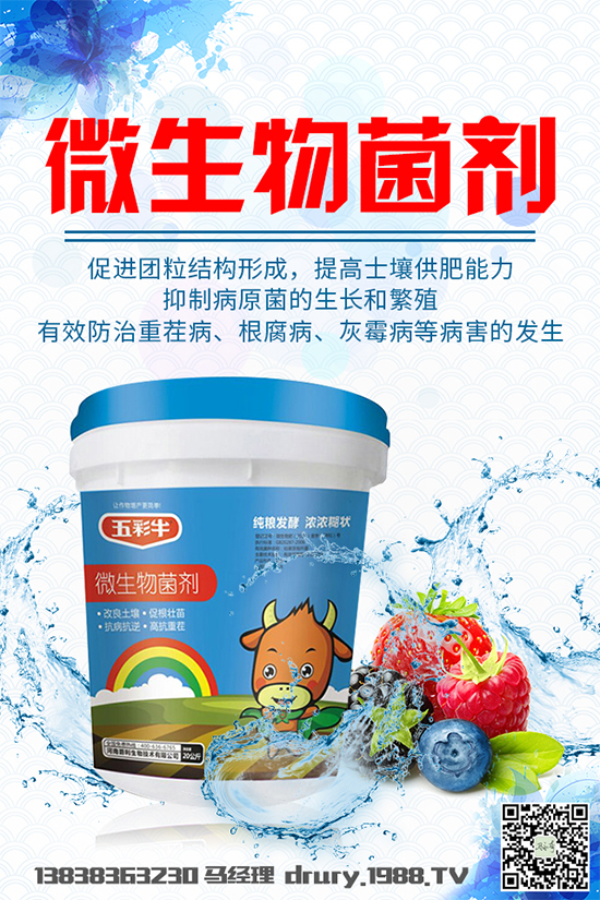 ����²�ԓ��ô�Nֲ���²˴���������g(sh��)Ҫ�c(di��n)