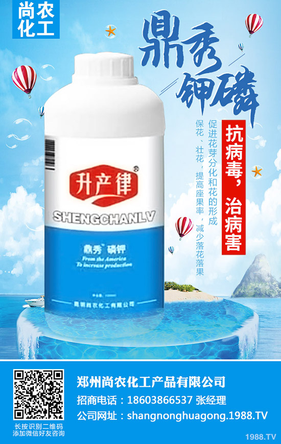     ���{���Y(ji��)����ô�k�����{���Y(ji��)��ԭ�򼰷��δ�ʩ��