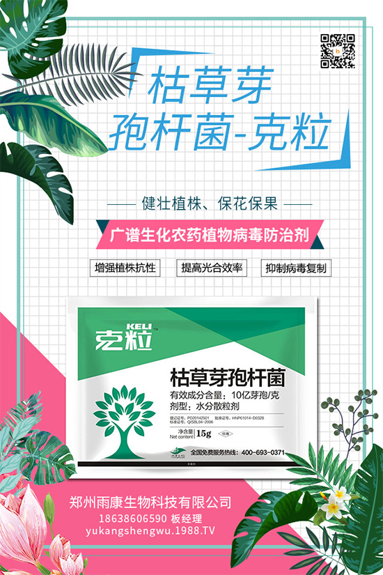 ��(gu��)��(n��i)��(d��)��(chu��ng)��ֲ��Դ����(x��)��ˎ���ذ���(l��i)�u��