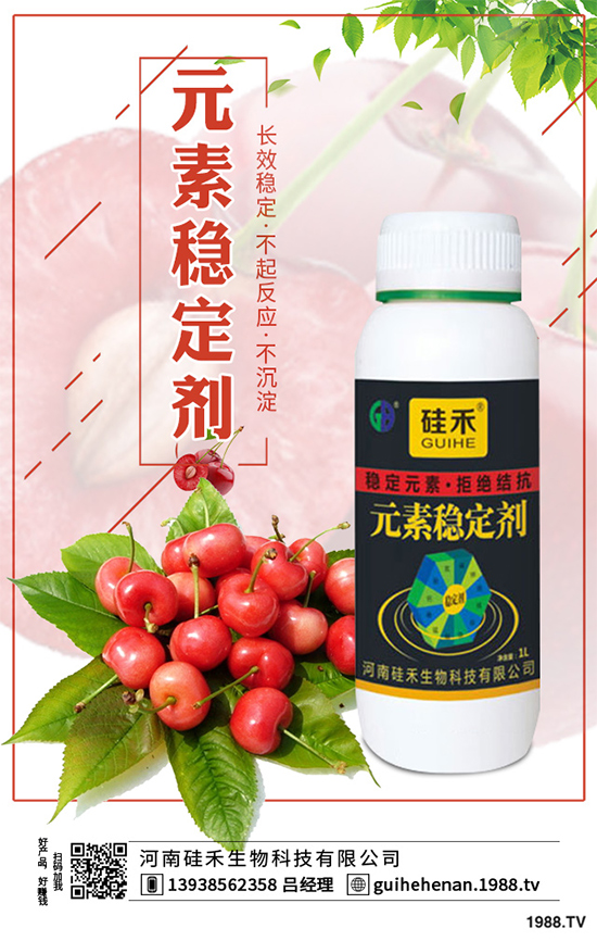 ��ˎԓ��ô�Nֲ����ˎ�Nֲ�İ˴��E��������(hu��)���