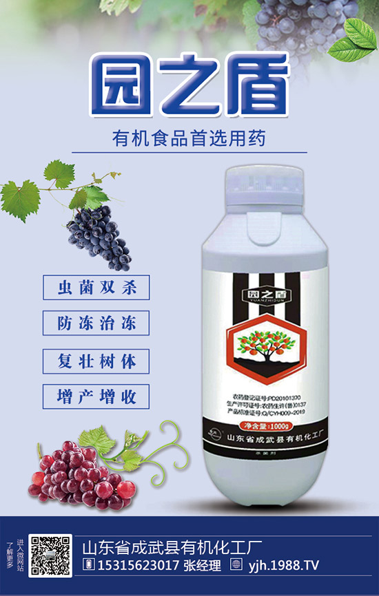 �����������������ʩ�ʼ��g��Ҫ�c��